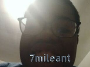 7mileant