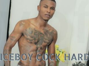 ARON_NICEBOY_COCK_HARD