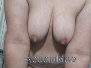 AcaciaMae