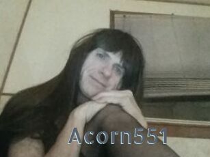 Acorn551