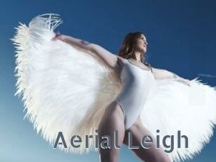 Aerial_Leigh