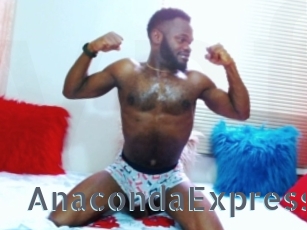 AnacondaExpress