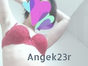 Angek23r