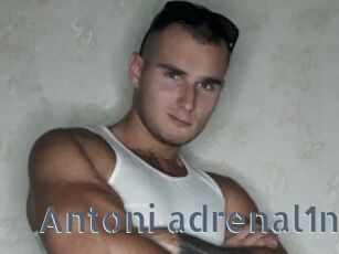 Antoni_adrenal1n