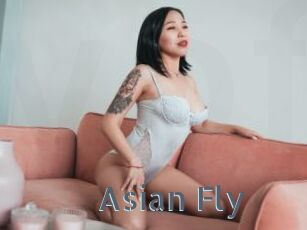 Asian_Fly