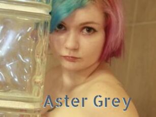 Aster_Grey