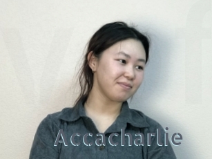 Accacharlie