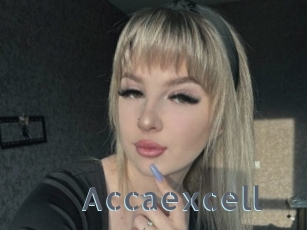 Accaexcell