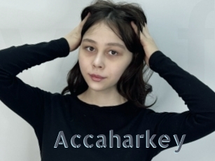 Accaharkey