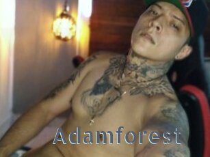 Adamforest