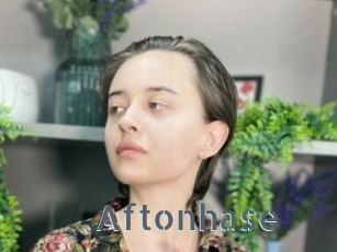 Aftonhase