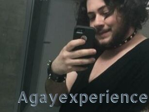 Agayexperience