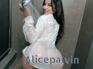 Alicepalvin