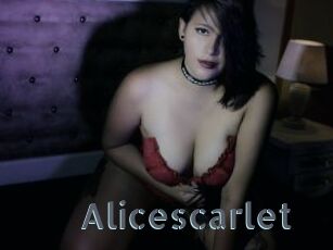 Alicescarlet