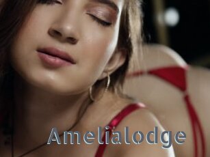 Amelialodge