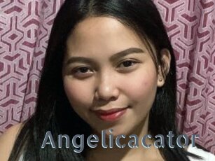 Angelicacator