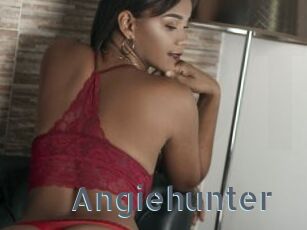 Angiehunter