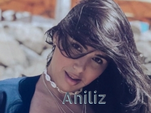 Aniliz