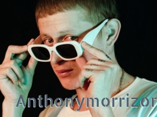 Anthonymorrizon