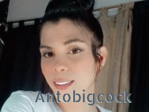 Antobigcock