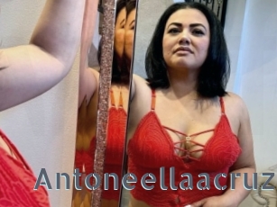 Antoneellaacruz