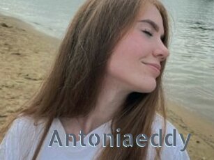 Antoniaeddy