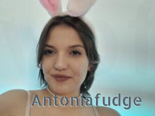 Antoniafudge