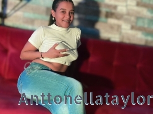 Anttonellataylor