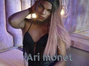 Ari_monet