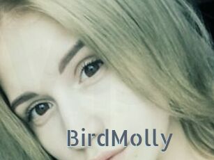 BirdMolly