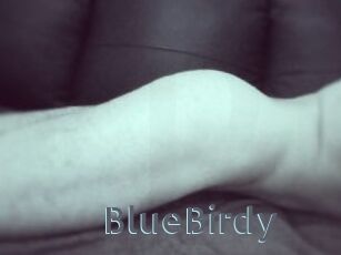 BlueBirdy