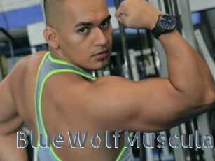 BlueWolfMuscular