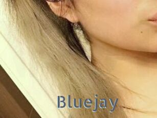 Blue_jay