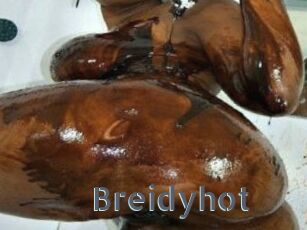 Breidyhot