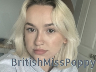 BritishMissPoppy