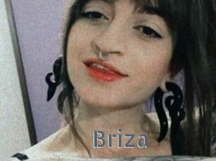 Briza