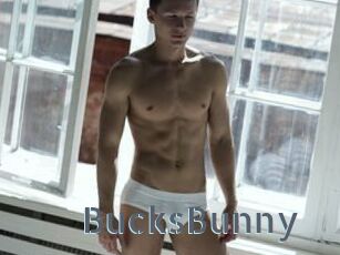 BucksBunny