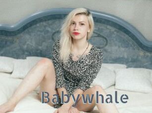 Babywhale