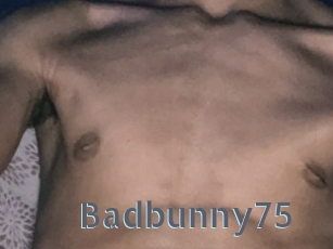 Badbunny75