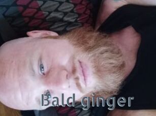 Bald_ginger