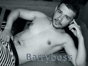 Barryboss