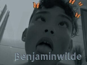 Benjaminwilde