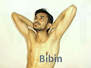 Bibin