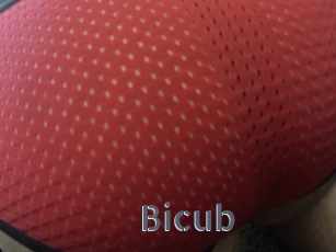 Bicub