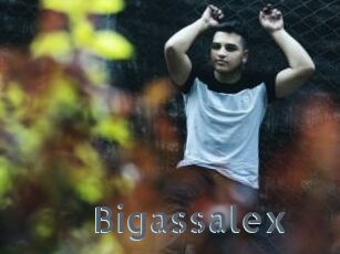 Bigassalex