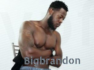 Bigbrandon