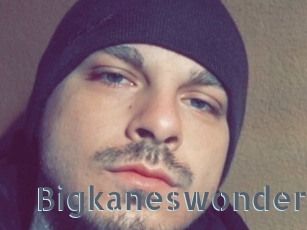 Bigkaneswonder