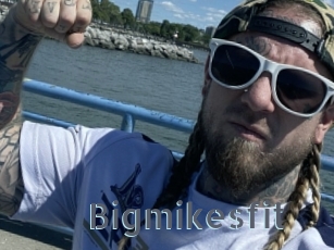 Bigmikesfit