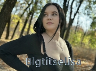 Bigtitselisa