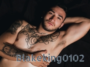 Blakeking0102